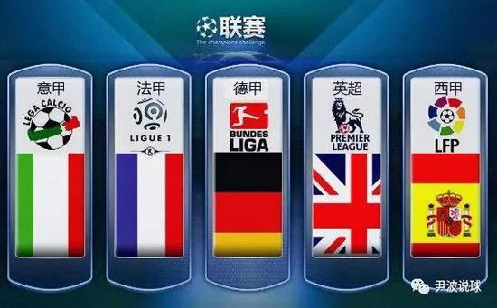 教练波波维